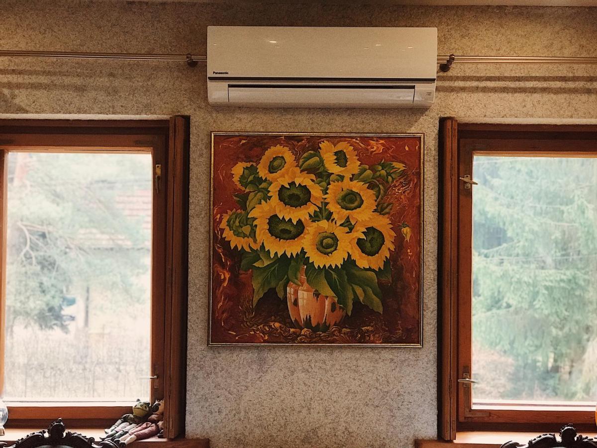Willa Danusia Milanowek Exteriér fotografie
