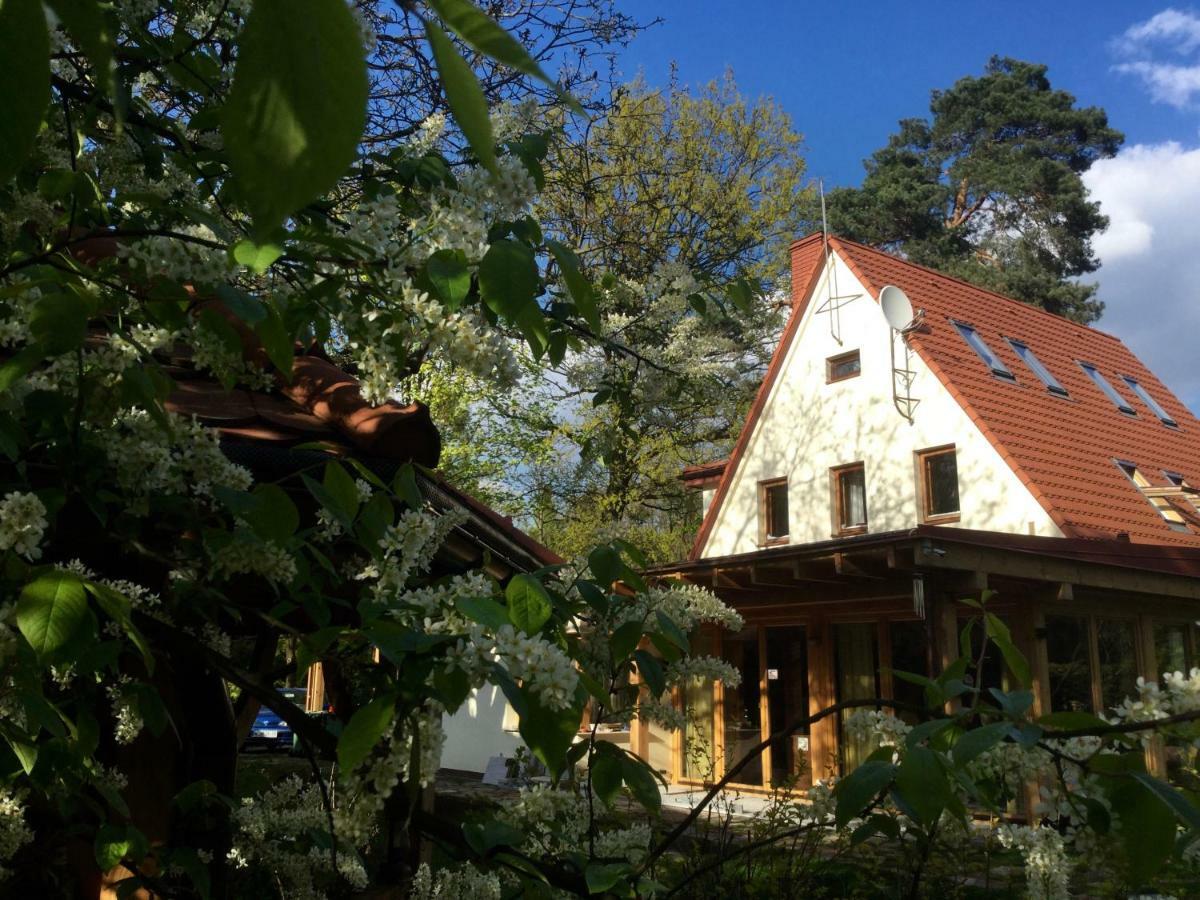 Willa Danusia Milanowek Exteriér fotografie