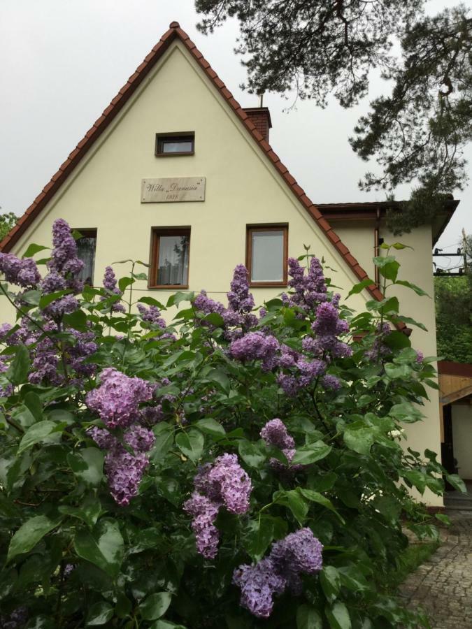 Willa Danusia Milanowek Exteriér fotografie